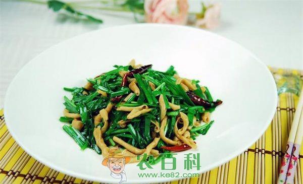 韭菜 盆栽有机韭菜,一盆卖到百元