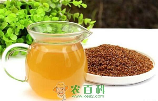 荞麦茶介 荞麦茶介绍