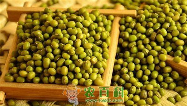 绿豆 夏天喝绿豆汤都有哪些好处