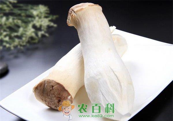 杏鲍菇 油炸杏鲍菇的做法介绍
