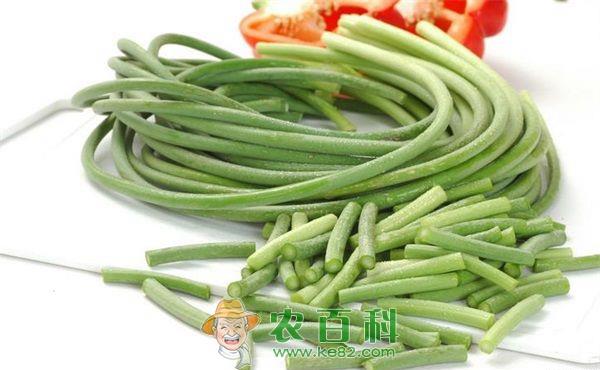 蒜苔病害的种类及发生原因与防治措施