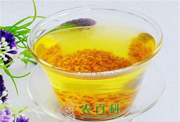 荞麦茶介 荞麦茶介绍