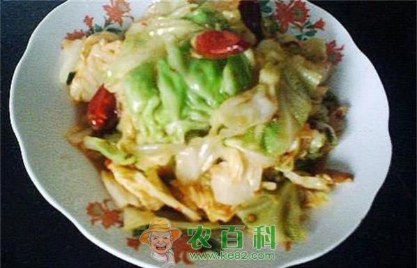 爆炒卷心菜