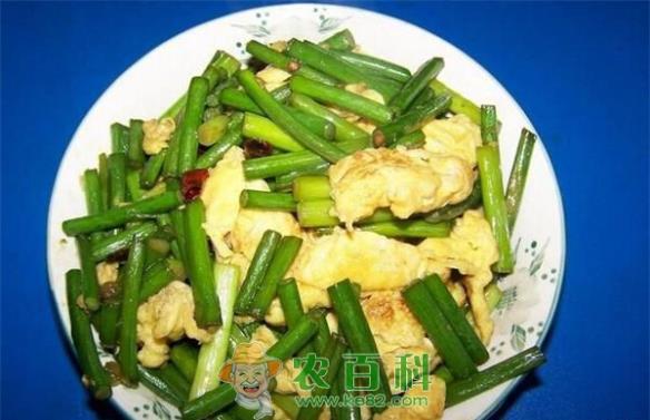 蒜薹的贮藏和营养功效