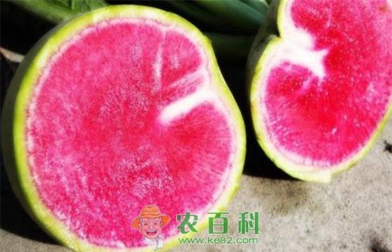 心里美萝卜不起眼 好处却不少