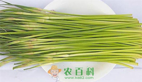 蒜苔 腊肠炒蒜苔的做法介绍