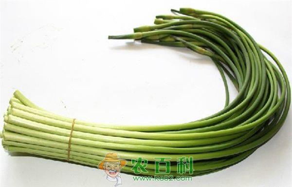 蒜苔 蒜苔能杀菌 可预防流感