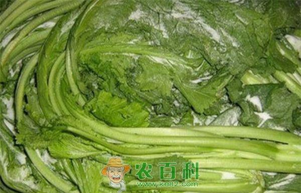 腌制雪里红的最佳时间