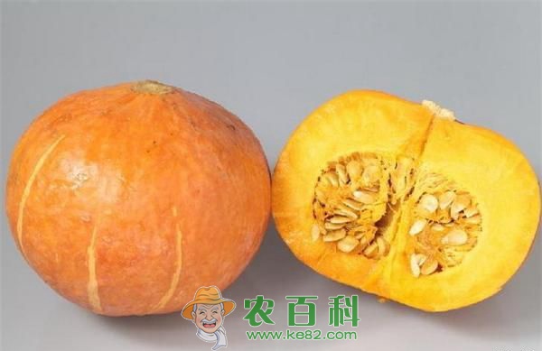 糖尿病患者能吃南瓜吗? 土客网网 糖尿病患者能吃南瓜吗?