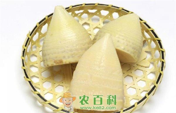 竹笋加工须注意的事项