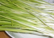 冬闲稻田可种植蒜苗