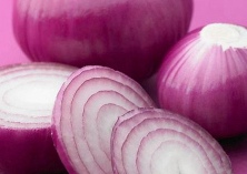 甘肃洋葱收购价今年行情在看涨