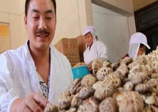 糯米烧麦的做法简介