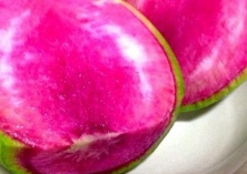 关于萝卜的品种