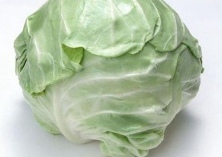 甘蓝新品种――春甘2号