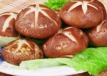 春甘蓝冬季育苗要点 春甘蓝冬季育苗要点