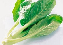 小白菜三天降了四成多