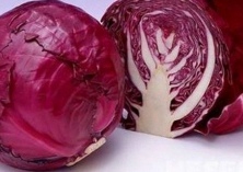 紫甘蓝病毒病的症状