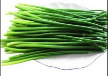 青蒜苔种植技术与病虫害防治