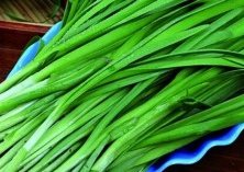 山东河东区强化韭菜产品质量安全监管