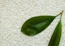 食全十美、槐祥（采购糯米及糯米粉）