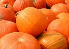 南瓜的营养价值及养生功效