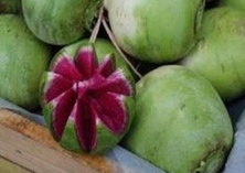 心里美萝卜滞销（副市长忧心）