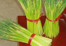 又到蒜苔收获季（且看冷库如何“捂价”）