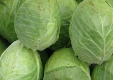 多吃卷心菜好处可不少