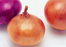 黄皮洋葱地膜覆盖高产栽培