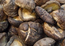 香菇脱水干制六注意