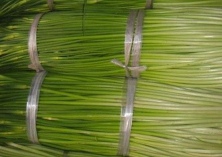 蒜苔的储存方法