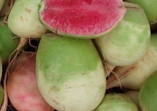 心里美萝卜软腐病