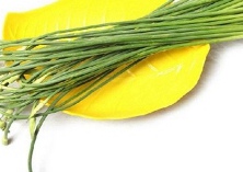 蒜苔和蒜苗有区别吗