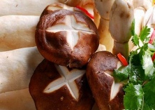 甘肃30万袋香菇陆续出菇上市