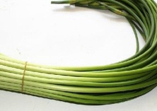 蒜苔能杀菌（可预防流感）