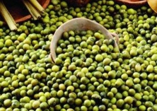 绿豆黄豆等小杂粮价格低于去年同期