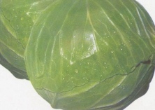 甘蓝贮藏要点 甘蓝贮藏要点