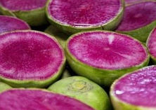 心里美萝卜的相关资料