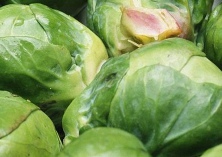 卷心菜贮藏的注意要点