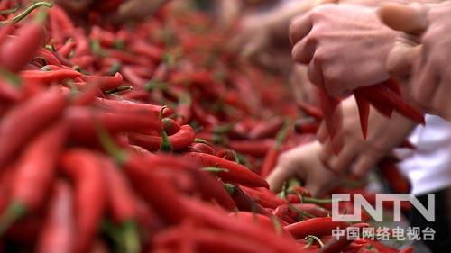 致富经:不务正业的儿子带来意外财富