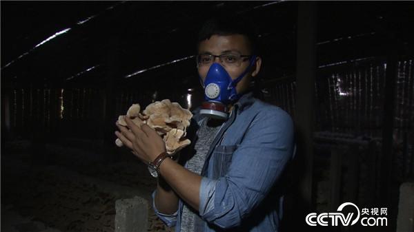 刘春龙:危险大棚里的诱人财富《致富经》