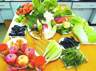 白领放弃海外研修机会 辞职去农村“种地”