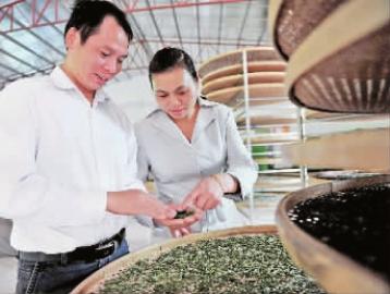 福建尤溪君良山：好茶青制出多样茶