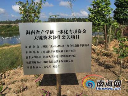 海大女教授脱下旗袍去澄迈养鸡鸭 带村民科学致富
