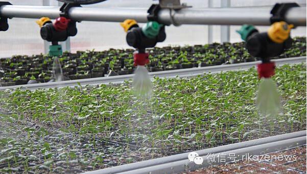 搭建沪藏农业合作新桥梁 打造高原现代农业示范区