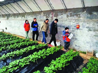 白领放弃海外研修机会 辞职去农村“种地”