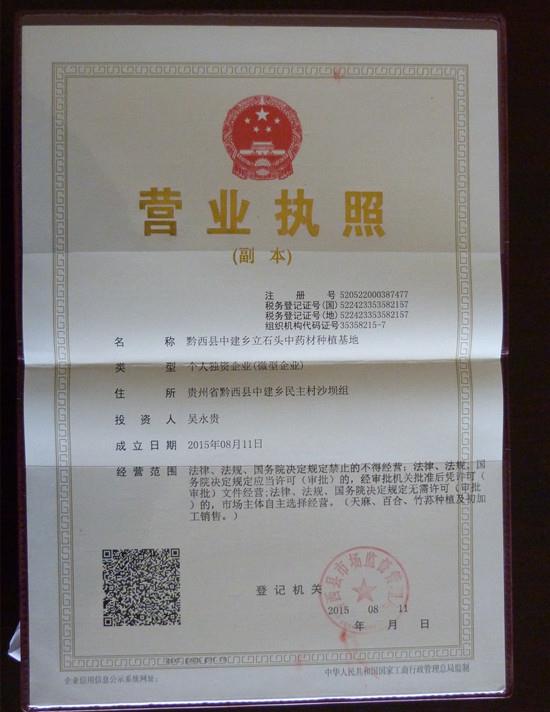 贵州黔西：“小天麻”引领群众致富