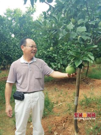 吴洪生,“文旦园”里话文旦