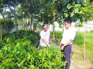 黄鉴雄：捕捉“飘香”商机 创新模式带动万人致富